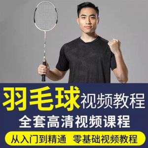羽毛球视频教程少儿童成人零基础自学课程战术训练教学技巧培训-淘淘虚拟网