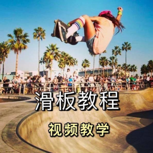 长板滑板双翘滑板教学视频教程初学者新手零基础入门自学花样刷街-淘淘虚拟网