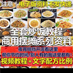 花式炒饭视频教程 泡菜蛋炒饭海鲜盖饭制作 特色小吃配方技术课程-淘淘虚拟网