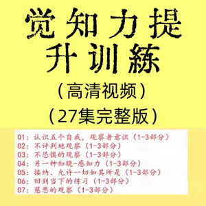 觉知力训练感知力国学智慧2025年心理学自我意识内心疗愈视频教程-淘淘虚拟网