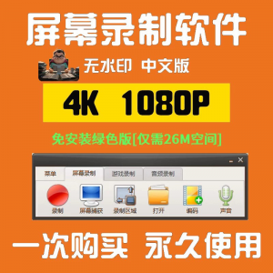 电脑高清1080P录屏录制软件屏幕视频声音录像工具4K无水印mp4格式-淘淘虚拟网