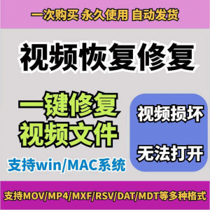 损坏MP4视频修复软件断电恢复工具短片导出摄像机视频文件修复-淘淘虚拟网