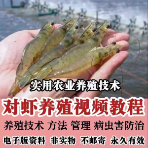 对虾养殖技术视频教学教程水质管理日常养护疾病防治南美白素材-淘淘虚拟网