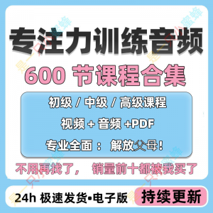 儿童专注力教程听觉注意力训练分阶全套音频视频课程早教电子版-淘淘虚拟网