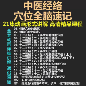 中医经络穴位全脑速记视频教学快速记忆动画形象加深记忆课程教程-淘淘虚拟网