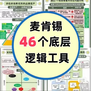 46种麦肯锡思考工具框架底层逻辑137页PPT属于芒格100个思维模型-淘淘虚拟网
