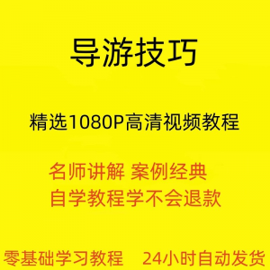 导游技巧视频教程新手自学零基础入门精通教学课程全集-淘淘虚拟网