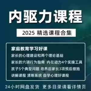 内驱力培训课程培养孩子自觉性提升内在亲子教育学习电子版资料-淘淘虚拟网