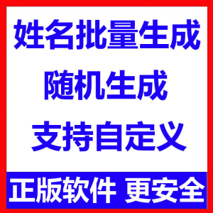 姓名批量生成工具 用户名随机不重复生成软件 可自定义-淘淘虚拟网