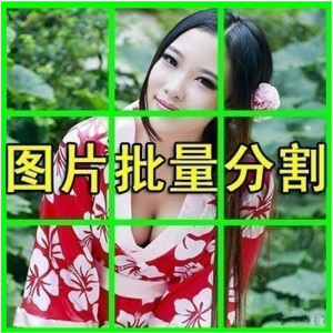 图片批量切割软件 图片批量分割工具 批量切图器 图片批量裁剪-淘淘虚拟网
