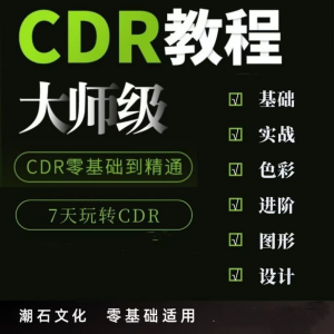 cdr教程视频Coreldraw自学平面设计广告排版零基础入门学习课程-淘淘虚拟网