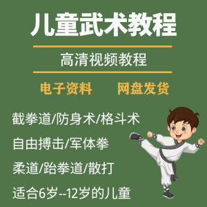 少儿童武术视频教程零基础自学咏春散打擒拿泰拳跆拳道防身术课程-淘淘虚拟网