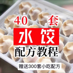 【0.01秒发】40套水饺技术配方 特制技术视频教程-淘淘虚拟网