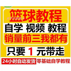 篮球视频教程大全教学训练教学课程基础打篮球技巧街球零基础入门-淘淘虚拟网