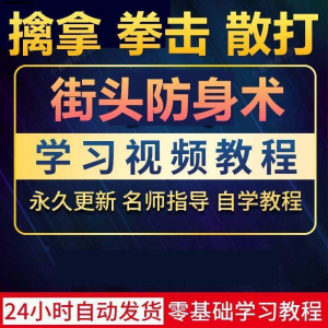 街头防身术擒拿拳击散打视频教程全套入门自学零基础学习教程视频-淘淘虚拟网