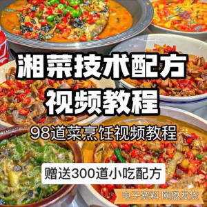 【0.01秒发】98道湘菜技术配方视频教程商用湖南菜炒菜特色小吃-淘淘虚拟网