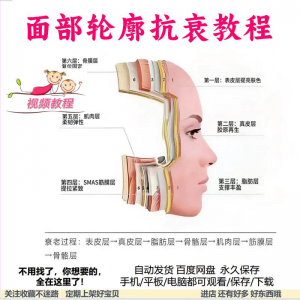 美商课程面部轮廓抗衰美肤减龄变美视频教程形象管理内在美好气色-淘淘虚拟网