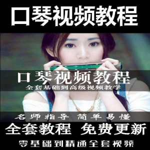 口琴自学教程视频零基础初学者入门到专业十孔24孔教学-淘淘虚拟网
