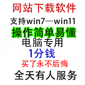 扒站扒网站扒网页扒全站下载修改下载软件克隆工具抓取拷贝单页-淘淘虚拟网