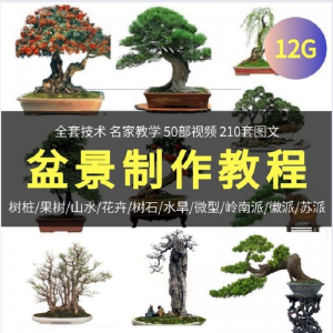 盆景制作技术视频教程工艺教学果树桩山水微型造型全套-淘淘虚拟网