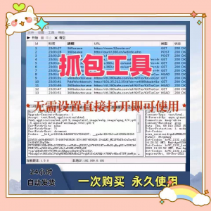 抓包工具软件开发源代码分析设计素材一次性购买永久使用-淘淘虚拟网