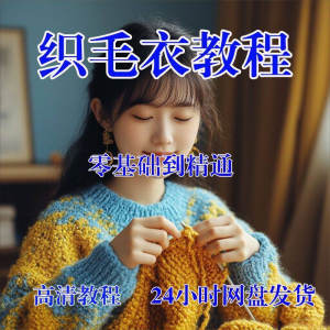 手工织毛衣视频零基础传统棒针钩针毛线编织婴儿童全套-淘淘虚拟网