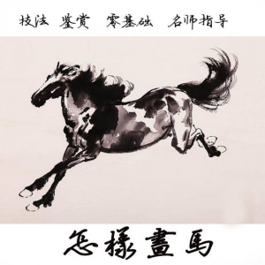 怎么画马视频教程教学自学画马技巧全套零基础入门到提高名水墨画-淘淘虚拟网