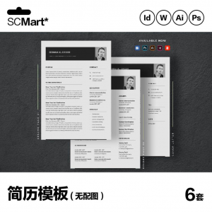 6套高级英文简历Word简历 ai psd设计师简历模板毕业生简历CV29-淘淘虚拟网