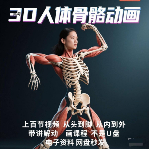 中医人体骨骼肌肉学习3D动态讲解演示视频自学零基础中医人体高考-淘淘虚拟网