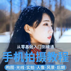 手机摄影教程snapseed人像后期修图拍摄拍照课程从入门到精通-淘淘虚拟网