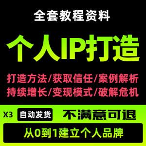 个人IP打造教程如何快速打造个人IP社交品牌定位训练营资料大全新-淘淘虚拟网