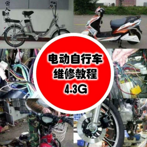 学电动车维修技术电动自行车维修技术电瓶修复技巧视频教程教学-淘淘虚拟网